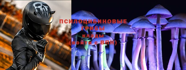 спиды Беломорск