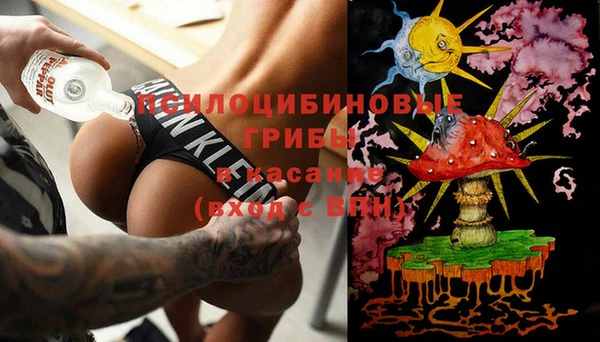 молекула духа Белокуриха