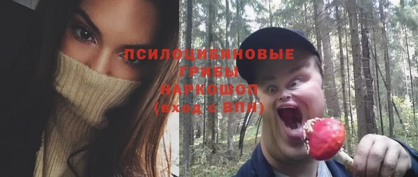 молекула духа Белокуриха