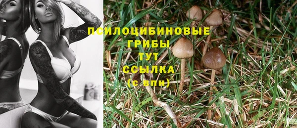 спиды Беломорск