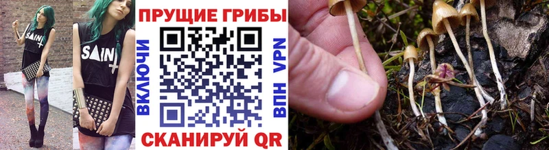 блэк спрут зеркало  закладки  Саяногорск  Галлюциногенные грибы мицелий 