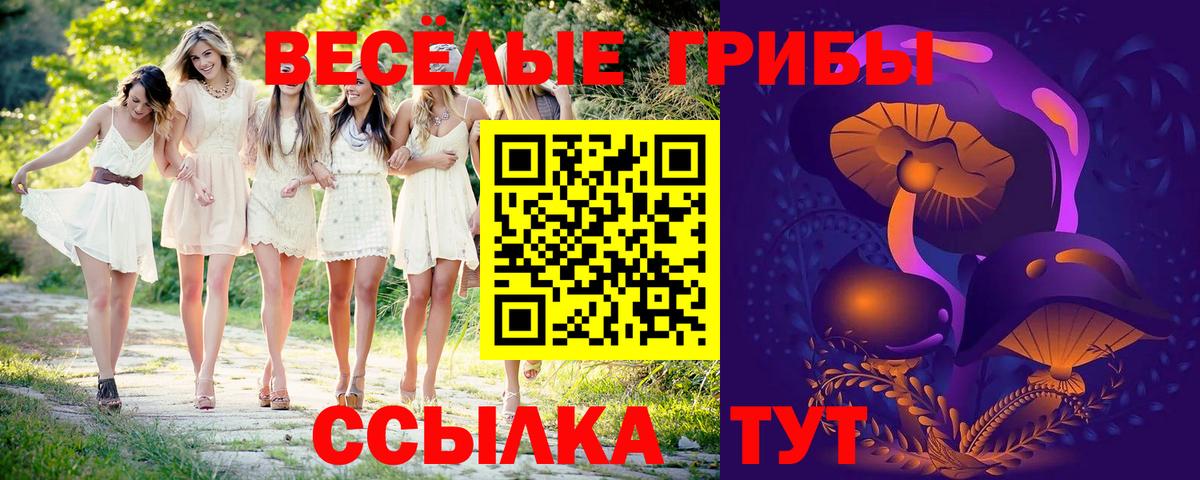 Саяногорск  Псилоцибиновые грибы Magic Shrooms  Вход с VPN  Галлюциногенные грибы прущие грибы 